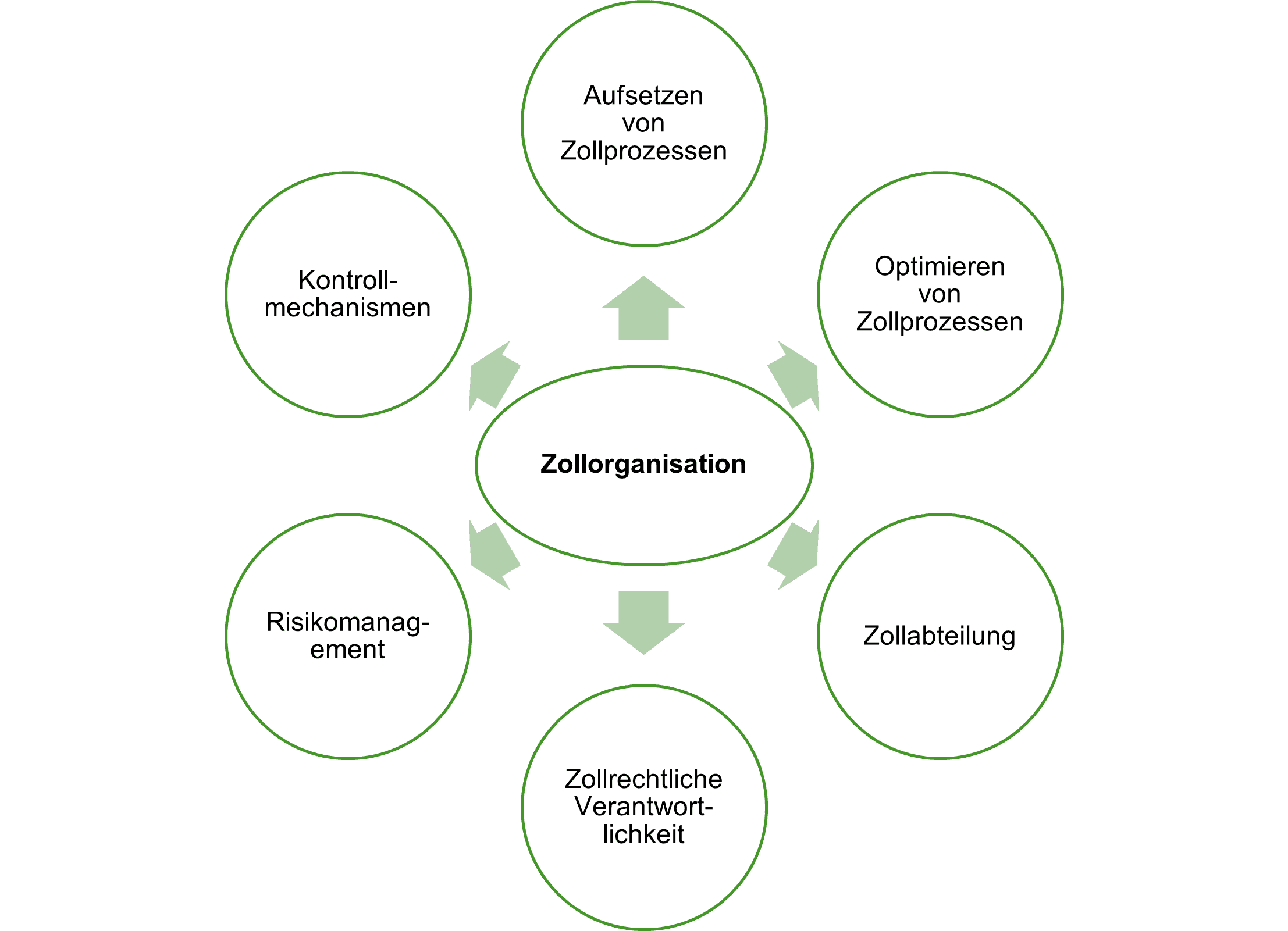 Elemente der Zollorganisation